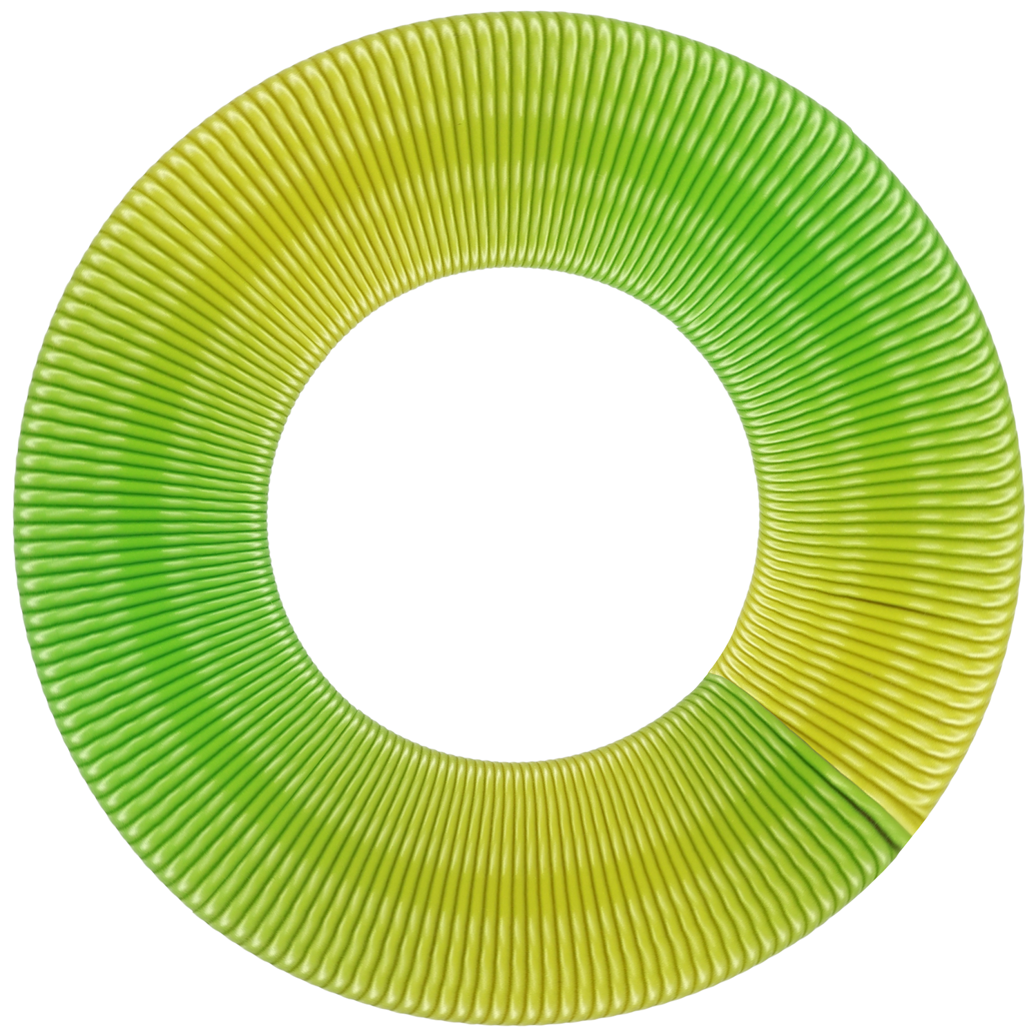 🥑 Avocado
